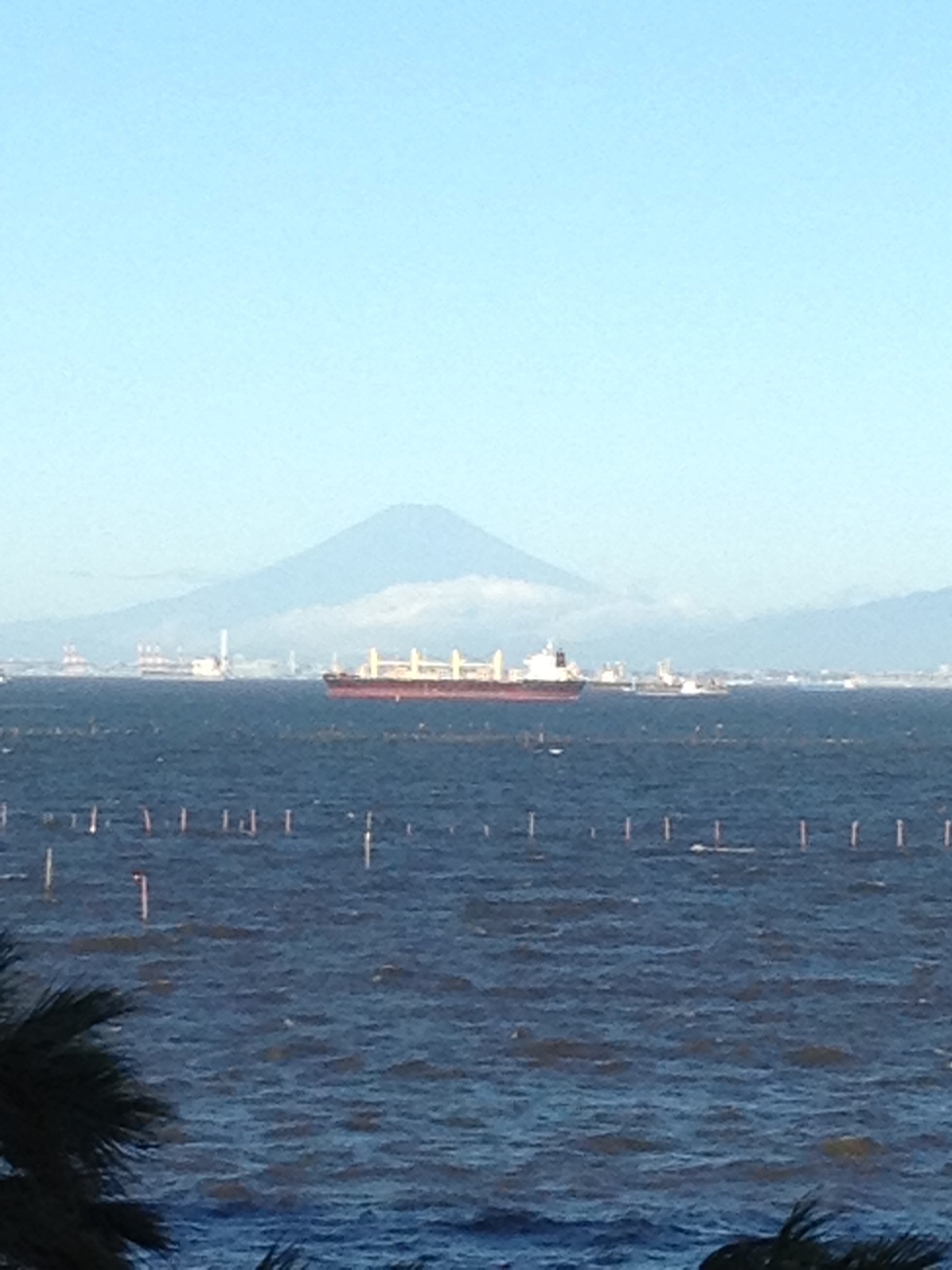 アロハシャツ屋富士山を眺める